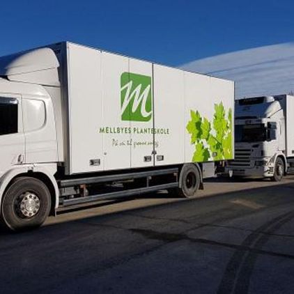 To store, hvite lastebiler med logo for Mellbyes planteskole